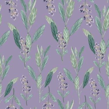 Pastel mor arka planda adaçayı bitkisinin pürüzsüz deseni. Suluboya elle boyanmış. Önemli bir yağ, yağ aşılama, çay, duvar kağıdı, ambalaj kağıdı ve tekstil için yüksek kaliteli illüstrasyon.