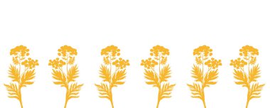 Mavi tansi sarı monokromatik kenar beyaza izole edilmiş. Suluboya ile boyanmış yabani otlar. Kartlar, paketler, duvar kağıtları, ambalaj kağıtları, not defterleri ve eko tasarımı için yüksek kaliteli sanat eserleri.