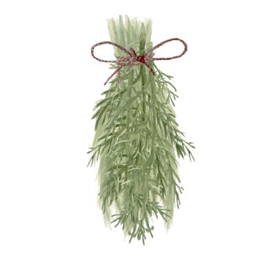 Beyazda sarı çiçekli bir demet yeşil bitki. Suluboya elle boyanmış. Çevre tasarımı, kartlar, paketler, temel petrol üretimi, petrol aşılama, bitkisellik için yüksek kaliteli illüstrasyon.