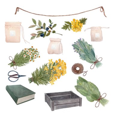 Tahta sandık, kitap, makas, çay poşeti, jüt ip ve beyaza izole edilmiş suluboya bitkiler. Klasik tasarım, çiçekçi, çıkartma, ev yapımı çay, organik otlar, logo