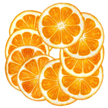 Portakal meyvesi, mandalina dilimi suluboya çelenk beyaz arka planda izole edilmiş. Gıda tasarımı, ambalajlar, restoran menüsü, doğal organik gıda, etiket, logo tasarımı için yüksek kaliteli el çizimi sanatı.