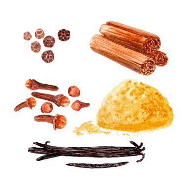 karanfil, tarçın, karabiber, vanilya, zerdeçal suluboya seti beyaza izole edilmiş, yemek tasarımı için elle çizilmiş. Baharat kutusu, restoran, kafe menüsü, tarifler, doğal organik gıda reklamları için harika.