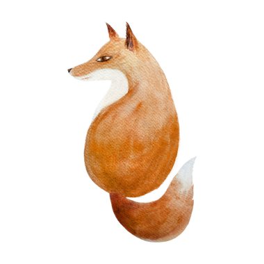 Fox suluboya düz çizimi beyaza izole edilmiş. Ormanlık çocuk tasarımları, tekstil, iç dekorasyon, çıkartmalar, kartlar ve çantalar için basit düz stil vahşi hayvanlarla el yapımı yüksek kaliteli sanat eserleri..