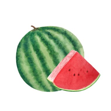 Bütün karpuz, birkaç tohumla sulu bir dilim. Beyaz arka planda izole edilmiş suluboya besin tasarımı için elle çizilmiş. Paketler, meyve suyu, smoothie, menü, organik gıda, dondurma etiketi, logo.