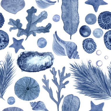 Denizyıldızı, yosun, baloncuk, inci, kabuk mavisi tek renkli suluboya, beyazda izole edilmiş. Kart, restoran menüsü, tekstil, turizm, bant ve oda dekorasyonu için elle çizilmiş resimleme.