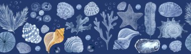 Starfish, seaweed, bubbles, pearls, shell blue monochromatic watercolor seamless border on dark blue. Hand-drawn illustration for cards, restaurant menu, textile, tourism, tape and room decor. clipart