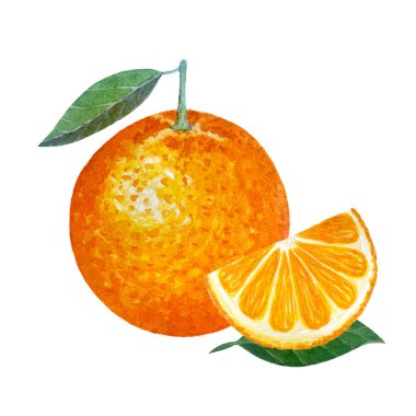 Yeşil yapraklı ve suluboya kompozisyonu beyaza izole edilmiş turuncu meyve. Gıda tasarımı, paketler, menü, doğal organik gıda, etiket, logo ve dekor için yüksek kaliteli el yapımı sanat eserleri.