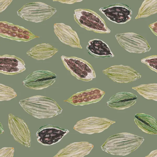 stock image Cardamom pods seamless pattern in watercolor on muted green, hand drawn in simple style for design. Green pods with detailed texture, some open to show seeds inside. Ideal for wrapping paper, textile.