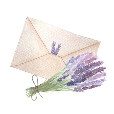 Lavanta çiçekleri ve beyaz üzerine izole edilmiş suluboya bir zarf. Suluboya elle boyanmış. Çıkartmalar, not defterleri, dekorlar, paketler, bitkisel üretim için yüksek kaliteli sanat eserleri.