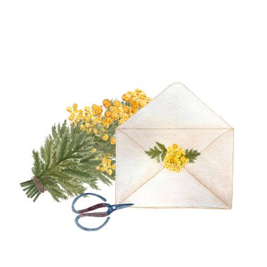 Mavi tansi sarı çiçekler, bir makas, beyaza izole edilmiş suluboya bir zarf. Yapıştırmalar, dekor ve tasarım, paketler, bitkisel üretim, dizüstü bilgisayarlar için harika el yapımı sanat eserleri.,