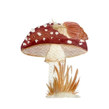 Uçan agarik kırmızı mantar ve beyaz üzerine izole edilmiş salyangoz desenli suluboya bileşimi. Çocuk ürünleri, kartlar, paketler, etiket, çanta, logo tasarımı için klip sanatı.