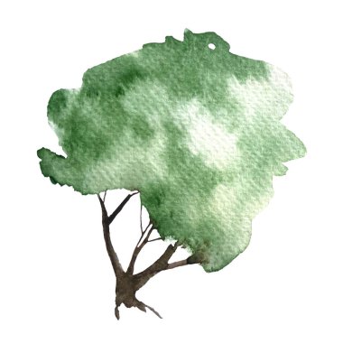 Beyaz üzerine izole edilmiş yeşil ağaç. Elle boyanmış yüksek kaliteli suluboya bir çalılık resmi. Peyzaj, bahçe teması, duvar kağıdı, posterler, ekolojik malzemeler, kartlar, çantalar için harika bir tasarım unsuru.. 