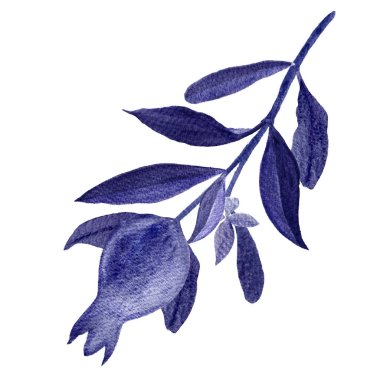 Geleceğin alacakaranlık pantonu renginde tek renkli nar dalı. Sofistike tasarımlar, yemek blogları, yemek kitapları, sanatsal dekor, tekstil, durağan ürünler için elle boyanmış suluboya ideal.