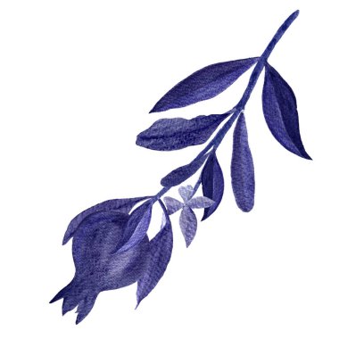 Geleceğin alacakaranlık pantonu renginde tek renkli nar dalı. Sofistike tasarımlar, yemek blogları, yemek kitapları, sanatsal dekor, tekstil, durağan ürünler için elle boyanmış suluboya ideal.