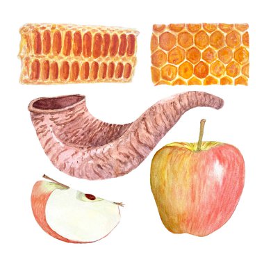 Shofar, elma, bal peteği elle boyanmış gerçekçi suluboya seti beyaza izole edilmiş. Rosh Hashanah için yüksek kalite tasarım unsurları, Yom Kippur kartları, posterler, dekorlar, baskılar. Yahudi gelenek klibi sanatı.