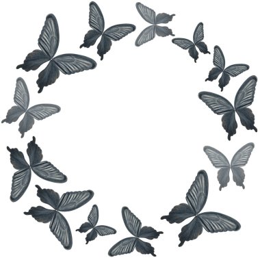 Siyah kelebek eli, beyaz üzerine izole edilmiş suluboya çerçeve boyadı. Albüm, afişler, kartlar, yastıklar, çıkartmalar, sabit tasarım için mükemmel bir tasarım. Siyah ve beyaz renk.