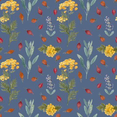 Bilge, mavi tansi, gri mavi arka planda gül kalça izi var. Elle boyanmış suluboya. Bitkisel sanatı temel yağ, bitkisel çay, aşılama, duvar kağıdı, tekstil, ambalaj kağıdı paketleri için.