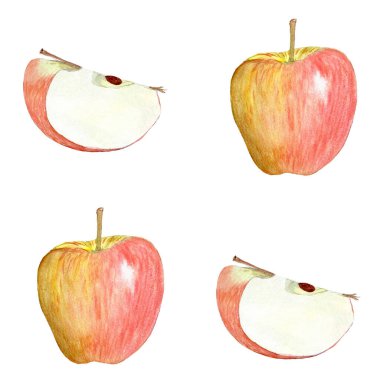 Parlak çizgili bir elma ve dörtte bir suluboya deseni beyaza izole edilmiş. Elle boyanmış sanat mutfak tasarımları, baskılar, paketler, Rosh Hashanah, meyve suyu, hasat temalı dekor.