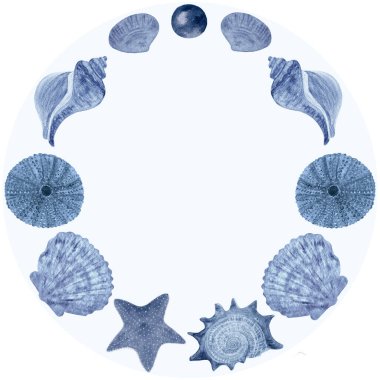 Deniz kabuğu, deniz kestanesi suluboya tek renkli mavi çerçeve beyazda izole. Not defterleri, kartlar, posterler, restoran menüsü, hatıra eşyaları, çıkartmalar, turizm reklamları, durağan dekorlar için yüksek kaliteli illüstrasyon