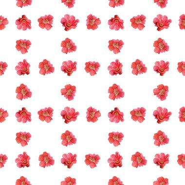 Parlak kırmızı bir nar çiçeği suluboya, beyaza izole edilmiş kusursuz bir kontrol deseni. El yapımı canlı sanat eserleri botanik baskılar, ambalaj kağıdı, tekstil ve dekor için mükemmel. Yaz klibi sanatı.