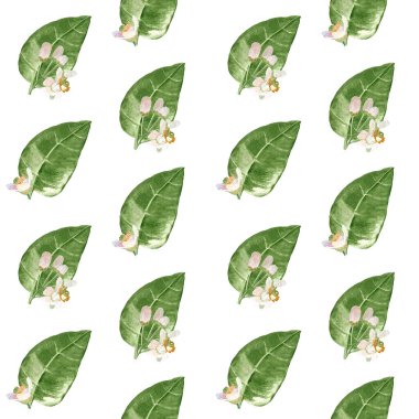 Narin portakal çiçekleri ve yapraklar, sulu boya, beyaza izole edilmiş yarım damla deseni. El boyaması yüksek kaliteli sanat tekstil, ambalaj kağıdı, ambalaj, ev dekorasyonu, baskılar için mükemmeldir..