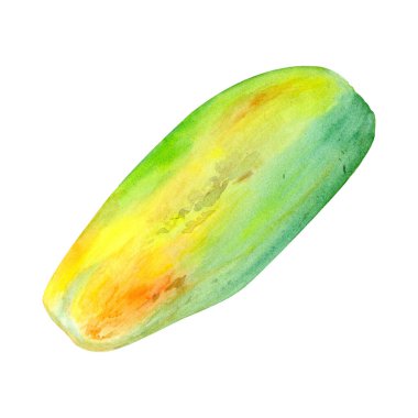 Olgun papaya suluboya desenli, beyaza izole edilmiş bir resim. Elle boyanmış tropikal meyve tokası sanatı mutfak tasarımları, etiketler, baskılar, kartlar, paketler, menü, ev dekorasyonu için mükemmeldir..