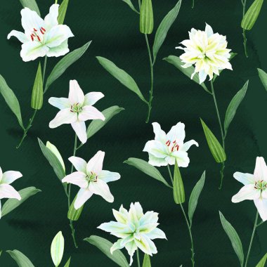 Yeşil saplı beyaz zambak çiçekleri siyah arka planda dikişsiz suluboya deseni oluşturur. Kartlar, posterler, çıkartmalar, Paskalya, vaftiz baharı, anneler günü, düğün kartları için mükemmel bir klip sanatı.