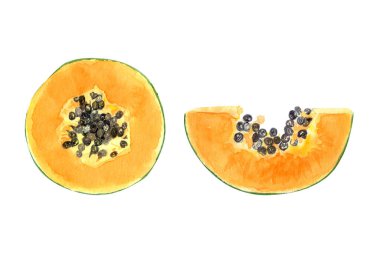 Beyaz üzerine izole edilmiş suluboya çizim setiyle taze papaya dilimi. Elle boyanmış tropikal meyve tokası sanatı mutfak tasarımları, etiketler, baskılar, kartlar, paketler ve menü için mükemmeldir.