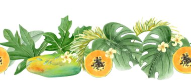 Papaya, Monstera yaprağı tropikal yapraklar, çiçekler suluboya dikişsiz sınırlar beyaza izole edilmiş. Kartlar, pankartlar, bant, tekstil ve sabit tasarım için mükemmel bir el çizimi. Egzotik bitki klipsi