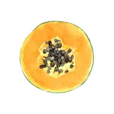 Yuvarlak papaya dilimi ve suluboya desenli tohumlar beyaza izole edilmiş. Elle boyanmış tropikal meyve tokası sanatı mutfak tasarımları, etiketler, baskılar, kartlar, paketler ve menü için mükemmeldir..