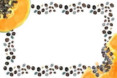 Papaya ve tohumlar suluboya, beyaz üzerine izole edilmiş yatay çerçeve. Elle boyanmış tropik meyve tokası sanatı mutfak tasarımları, tekstil, ambalaj kağıdı, baskılar, kartlar, paketler ve menü için mükemmeldir. Desenli.