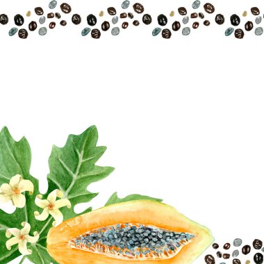 Papaya meyvesi, çiçek, tohumlar suluboya kare çerçeve beyaza izole edilmiş. Elle boyanmış tropikal meyve tokası sanat mutfak tasarımı, ambalaj kağıdı, baskılar, kartlar, paketler ve menü için idealdir. Desenli.
