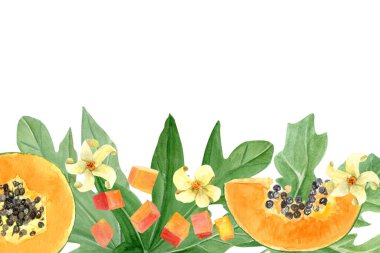 Papaya meyve dilimi, küp, yaprak ve çiçek suluboya çerçevesi beyaza izole edilmiş. Kartlar, pankartlar, bant, tekstil ve sabit tasarım için mükemmel bir el çizimi. Egzotik bitki klipsi.