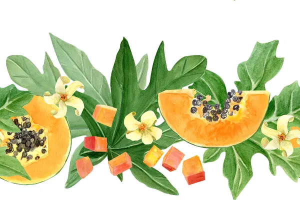 Papaya meyvesi dilimi, küp, yaprak ve çiçek suluboya beyaza izole edilmiş. Kartlar, pankartlar, bant, tekstil ve sabit tasarım için mükemmel bir el çizimi. Egzotik bitki klipsi.