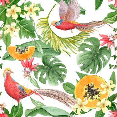 Altın sülün, papaya, tutku çiçeği, canavar yaprakları, tropikal yapraklar, beyaza izole edilmiş suluboya deseni. El yapımı tasarım ambalaj kağıdı, tekstil, duvar kağıdı için mükemmel. Yağmur ormanları.