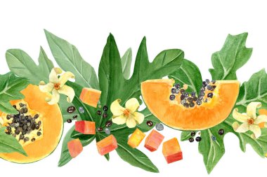 Papaya meyvesi dilimi, küp, yaprak ve çiçek suluboya beyaza izole edilmiş. Kartlar, pankartlar, bant, tekstil ve sabit tasarım için mükemmel bir el çizimi. Egzotik bitki klipsi.