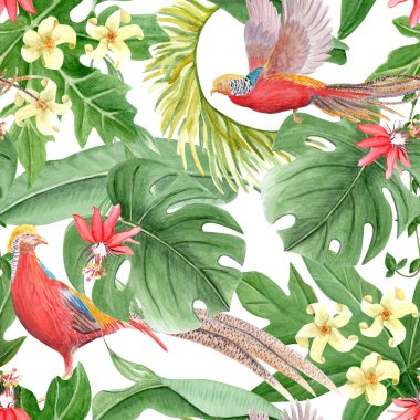 Altın sülün, tutku çiçeği, canavar yaprakları, tropikal yapraklar, beyazda izole edilmiş sulu boya deseni. El yapımı tasarım ambalaj kağıdı, tekstil, duvar kağıdı için mükemmel. Yağmur ormanları tırmanışı.