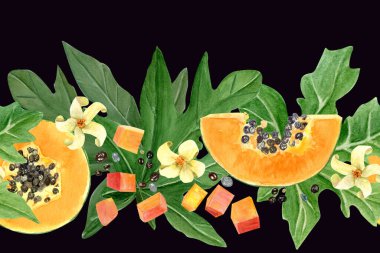 Papaya meyve dilimi, küp, yaprak ve çiçek suluboya dikişsiz sınır siyahta izole edilmiş. Kartlar, pankartlar, bant, tekstil ve sabit tasarım için mükemmel bir el çizimi. Egzotik bitki klipsi.