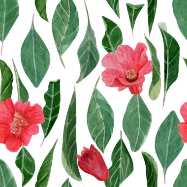 Nar çiçekleri, dal ve yeşil yapraklar suluboya desenleri beyazda izole edilmiş. El boyaması çizimler tekstil, ambalaj kağıdı, botanik baskılar, kartlar, ambalaj ve dekor için mükemmeldir..