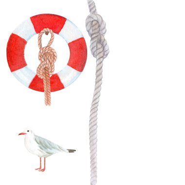 Lifebuoy, denizcilik halat düğümleri, martı suluboya seti. Yaz tasarımı, ambalaj, web siteleri, posterler veya sahil markalaşma projeleri için mükemmel el boyaması deniz unsurları.
