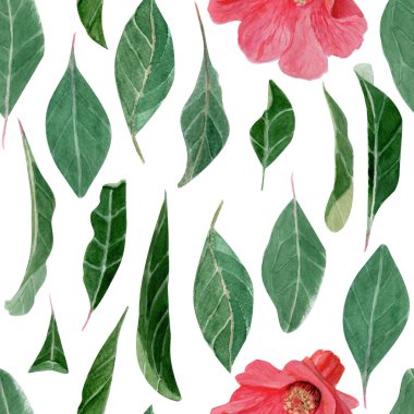 Yeşil yapraklar ve kırmızı nar çiçeği sulu boya deseni beyazda izole edilmiş. El boyaması çizimler kumaş, ambalaj kağıdı, botanik baskılar, kartlar, ambalaj ve dekor için mükemmel..