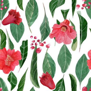 Nar çiçekleri, tohumlar ve yeşil yapraklar suluboya desenleri beyazda izole edilmiş. El yapımı resimler tekstil, ambalaj kağıdı, botanik baskılar, kumaş, ambalaj ve dekor için mükemmel..