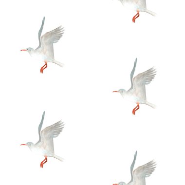 Uçan martı suluboya deseni beyaza izole edilmiş. Kartlar, durağanlık, yapıştırma kitabı, ambalaj kağıdı, deniz turizmi ürünleri, yemekler, tekstil dekorasyonu için yüksek kaliteli el yapımı klip sanatı.