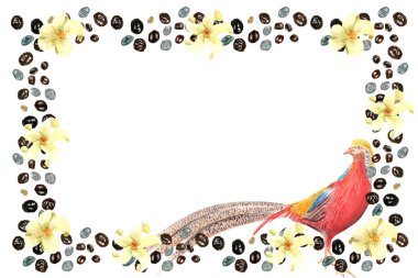 Papaya tohumları, egzotik kuş, sarı çiçekler suluboya çerçeve beyaza izole edilmiş. El boyaması tropikal sınır kafe markası, ambalaj, menü tasarımı, davetiyeler ve sosyal medya grafikleri için mükemmel..