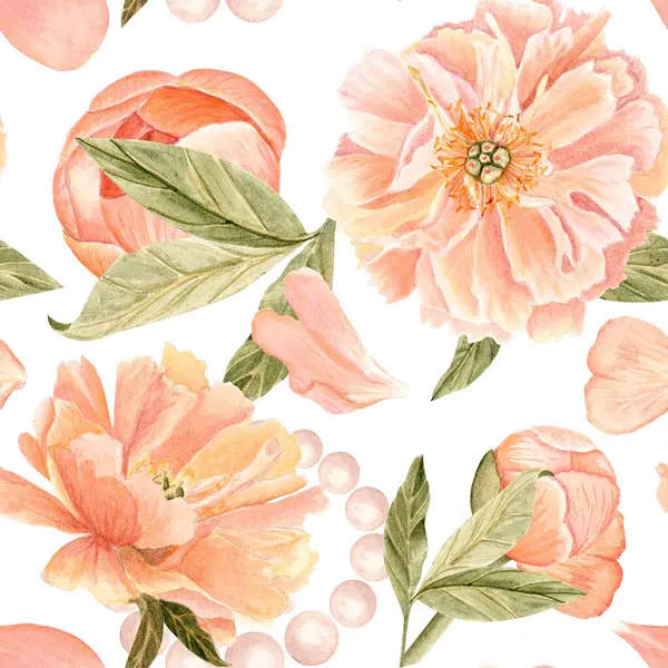 Romantik şakayıklar, taç yaprakları, yapraklar ve inciler beyaz arka planda izole edilmiş çiçeksiz suluboya desenleri, düğün davetiyeleri, kırtasiye malzemeleri, markalaşma, paketleme ve zarif olay tasarımı için mükemmel..