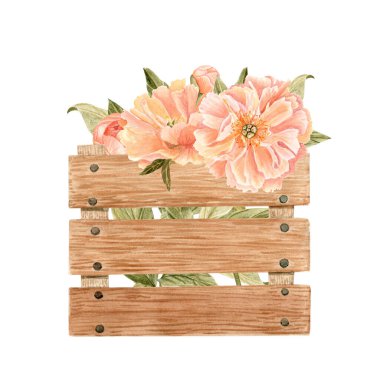 Tahta bir sandıkta çiçek açan şeftali şakayıkları, suluboya çiçek kompozisyonu ambalaj, durağanlık, etiketler, kartlar, çıkartmalar, davetiyeler çiftlik dekorasyonu için mükemmel. Pastel renk. Sefil piliç..