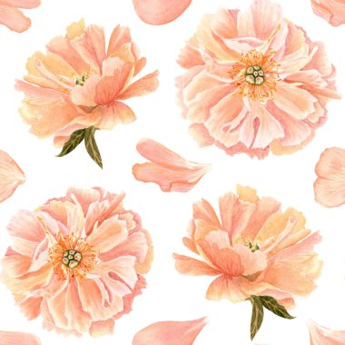 Yumuşak şeftali renginde şakayık çiçekli baş, suluboya kusursuz desen. Yüksek detaylarla elle boyanmış, düğün davetiyeleri için mükemmel, kadınsı markalaşma, ambalaj, kumaş tasarımı, kartlar. Mercan cazibesi rengi