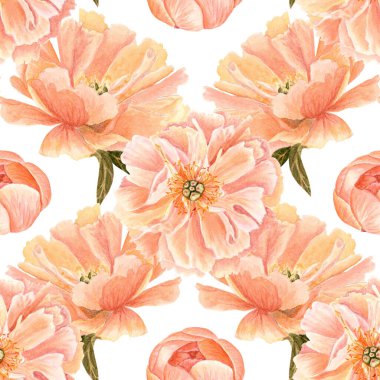 Yumuşak şeftali rengi, pürüzsüz desenli, narin şakayık çiçeği tomurcuğu. Yüksek detaylarla elle boyanmış, düğün davetiyeleri için mükemmel, markalaşma, paketleme, kumaş tasarımı, dijital projeler. Mercan tılsımı.