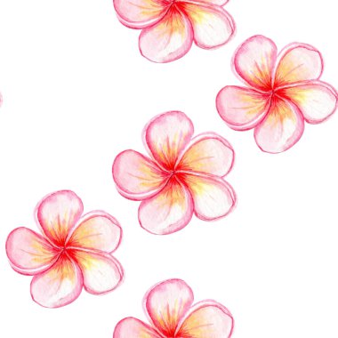 Pembe Tesisatçılık çiçeği pürüzsüz deseni. Suluboya elle boyanmış. Spa markası, tropikal ambalaj, yaz düğünü dekorasyonu, tekstil tasarımı, tebrik kartları, botanik çizimler için ideal. Dikey.