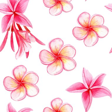 Pembe tesisat çiçekleri pürüzsüz desen. Suluboya elle boyanmış. Spa markası, tropikal ambalaj, yaz düğünü dekorasyonu, tekstil tasarımı, tebrik kartları, botanik çizimler için ideal. Parlak.